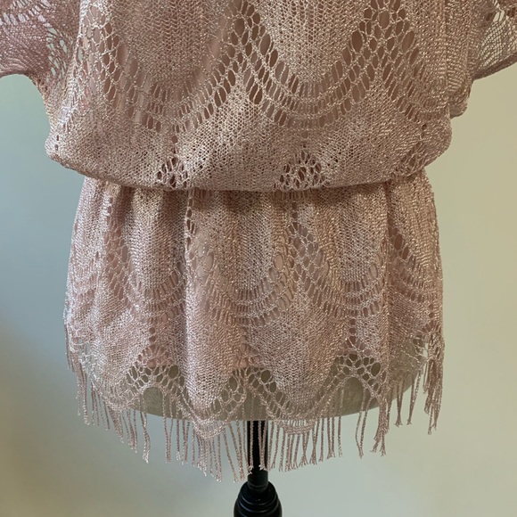 Dressbarn Collection. Sparkle sheer lace blouse - Picture 3 of 5